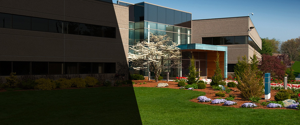 Miller Place Landscapers