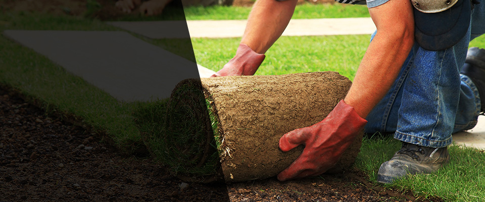 Miller Place Landscapers